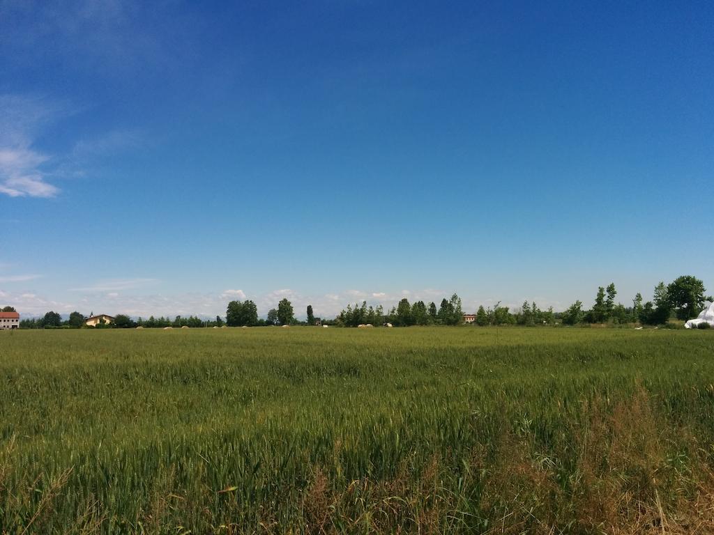 La Chioccia